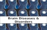 Brain Diseases & Disorders. Wait a minute… What is the difference between a disease and a disorder? Magnetic Resonance Imaging (MRI) of the cranium and.
