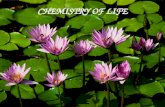 CHEMISTRY OF LIFE. BIOLOGY-THE STUDY OF LIFE The Chemistry of Life I.Organization of Atoms II.Bonds III.Water Molecules IV.Classification of Compounds.