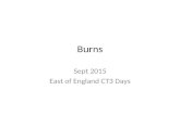 Burns Sept 2015 East of England CT3 Days. Burns - aims ♦ Skin ♦ Types of burns ♦ Management ♦ Burns ♦ Associated bits ♦ Tips for children.