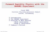 Fouad RAMI Institut Pluridisciplinaire Hubert Curien, Strasbourg  Introduction  The BRAHMS Experiment  Overview of Main Results  Bulk observables.