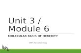 Unit 3 / Module 6 MOLECULAR BASIS OF HEREDITY DNA Fantastic! Song.