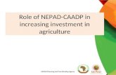 Role of NEPAD-CAADP in increasing investment in agriculture NEPAD Planning and Coordinating Agency.