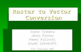 Raster to Vector Conversion Ioana Ciobanu János Farkas Pawel Kulinski Arpád Szövérdfi SSIP Timisoara 2003.