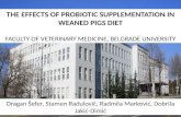 Dragan Šefer, Stamen Radulović, Radmila Marković, Dobrila Jakić-Dimić THE EFFECTS OF PROBIOTIC SUPPLEMENTATION IN WEANED PIGS DIET FACULTY OF VETERINARY.
