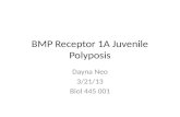 BMP Receptor 1A Juvenile Polyposis Dayna Neo 3/21/13 Biol 445 001.