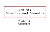MCB 317 Genetics and Genomics Topic 11 Genomics. Readings Genomics: Hartwell Chapter 10 of full textbook; chapter 6 of the abbreviated textbook.