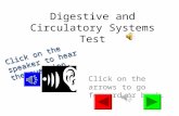 Digestive and Circulatory Systems Test Click on the arrows to go forward or back. Click on the speaker to hear the question.