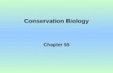 Conservation Biology Chapter 55. Threaten species –Chinese River Dolphin –Philippine Eagle –Less than 100 individuals remain.