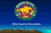 Elite Equine Education What is it? Groom Elite classes and certification GE099, GE101, GE201.
