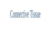 Connective Tissue includes things like bone, fat, & blood. All connective tissues include: 1. specialized cells 2.extracellular protein fibers } matrix.