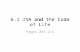 6.1 DNA and the Code of Life Pages 228-233. nuclein A name given to DNA when it was discovered by Friedrich Miescher in 1869.