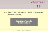 WHAT YOU WILL LEARN IN THIS CHAPTER chapter: 18 >> Krugman/Wells Economics ©2009  Worth Publishers Public Goods and Common Resources.
