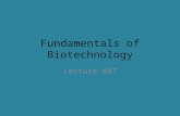 Fundamentals of Biotechnology Lecture #07. Bacterial Artificial Chromosomes Many vectors which are popularly used for DNA cloning in bacterial cells contain.