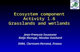 Ecosystem component Activity 1.6 Grasslands and wetlands Jean-François Soussana Katja Klumpp, Nicolas Vuichard INRA, Clermont-Ferrand, France CarboEurope,