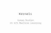 Kernels Usman Roshan CS 675 Machine Learning. Feature space representation Consider two classes shown below Data cannot be separated by a hyperplane.
