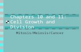 Chapters 10 and 11: Cell Growth and Division Mitosis/Meiosis/Cancer.