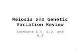 Meiosis and Genetic Variation Review Sections 6.1, 6.2, and 6.3 1.