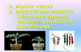 1. PLANT VIRUS 2. INFECTIOUS AGENTS (Virus-like agents) VIROIDS, VIRUSOIDS AND PRIONS.