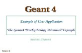 Example of User Application The Geant4 Brachytherapy Advanced Example .