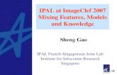 IPAL at ImageClef 2007 Mixing Features, Models and Knowledge Sheng Gao IPAL French-Singaporean Joint Lab Institute for Infocomm Research Singapore.