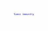 Tumor immunity. Malignant transformation - Failure of regulation of cell division and regulation of "social" behavior of the cells - The uncontrollable.