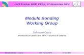 CMS Tracker MPR, CERN, 22 November 2004 22 Nov 2004CMS Tracker MPRSalvatore Costa - Catania Module Bonding Working Group Salvatore Costa Università di.