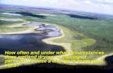 How often and under what circumstances does wetland drying or thawing of permafrost cause a change in ecosystem state? How often and under what circumstances.