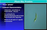 Plant-like Protists *First ‘plants’ *First ‘plants’ General Characteristics: General Characteristics: eukaryotic, unicellular to multicellular, diverse.