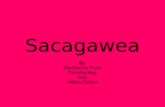 Sacagawea By: MacKenzie Frum Tanisha May and Alisha Collins.