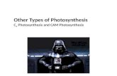Other Types of Photosynthesis C 4 Photosynthesis and CAM Photosynthesis.