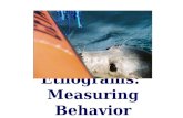Ethograms: Measuring Behavior. Importance of Observation Initially, questions about animal behavior come from observations. You must understand your study.