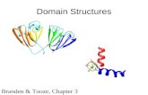 Domain Structures Branden & Tooze, Chapter 3. Alpha Domain: The Lone Helix There are a number of examples of small proteins (or peptides), which consist.