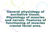 General physiology of excitative tissue. Physiology of muscles and nerves. Features of functioning of muscles cranial facial area.