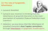 (2) The role of Epigenetic Inheritance Lamarck Revisited Lamarck was incorrect in thinking that the inheritance of acquired characters is the main mechanism.