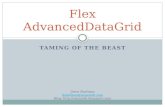 TAMING OF THE BEAST Flex AdvancedDataGrid Drew Shefman dshefman@squaredi.com Blog:
