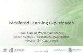Mediated Learning Experiences Pupil Support Worker Conference Gillian Ruddock – Educational Psychologist Tuesday 18 th August 2015 DATA LABEL: PUBLIC.