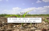 Soils A look at this valuable resource & why we shouldn’t treat it like dirt. Scott Poague, Holtville High School.