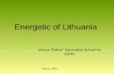 Energetic of Lithuania Vilnius “Židinio” Secondary School for Adults Vilnius, 2011.
