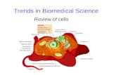 Trends in Biomedical Science Review of cells. 2 Cell Theory 1. All organisms are made of cells. 2. Cells are the smallest living things. 3. Cells are.
