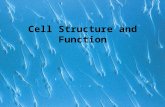 Cell Structure and Function. Insert video clip Agre and Cells Agre and Cells In The News.