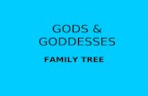 GODS & GODDESSES FAMILY TREE. TITANS Zeus God of heaven, earth, and men. Married his sister Hera Symbol is the thunderbolt.