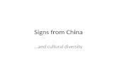 Signs from China …and cultural diversity. Beijing aiport sign.
