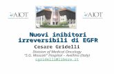 Nuovi inibitori irreversibili di EGFR Cesare Gridelli Division of Medical Oncology “S.G. Moscati” Hospital – Avellino (Italy) cgridelli@libero.it cgridelli@libero.it.