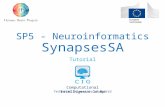 SP5 - Neuroinformatics SynapsesSA Tutorial Computational Intelligence Group Technical University of Madrid.