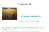 Grassland All about grasslands. All about grasslands. grassland. Photograph. Encyclopedia Britannica. Web. 23 Apr. 2013...