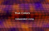 True Colors Independent Living. What is True Colors? A career finding technique that helps you: –Discover your true talents –Create a positive, clear.