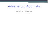 Adrenergic Agonists Prof. A. Alhaider. Tyrosine Dopa DA NE Na COMT NET Ca Norepinephrine (NE) SYNTHESIS STORAGE RELEASE ACTION REUPTAKE DEGRADE POSTGANGLIONIC.