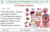 STD – 6 th SUB – SCIENCE 11.Organ Systems Presented By -Panchal Amol Points to study 11.Organ Systems  Introduction – Organs and organ system.  The digestive.