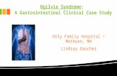 Ogilvie Syndrome: A Gastrointestinal Clinical Case Study Holy Family Hospital Methuen, MA Lindsay Gaucher.