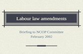 Labour law amendments Briefing to NCOP Committee February 2002.